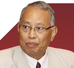 Tamrin Amal Tomagola